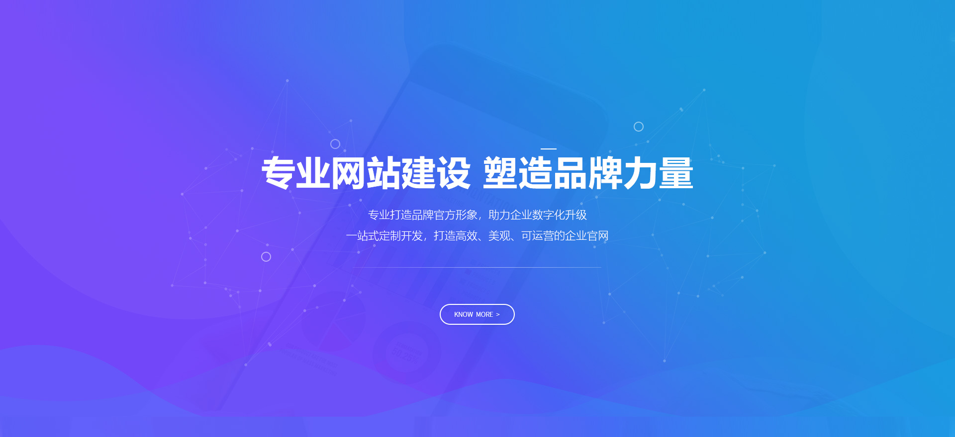 和龙建站-专业网站建设 塑造品牌力量