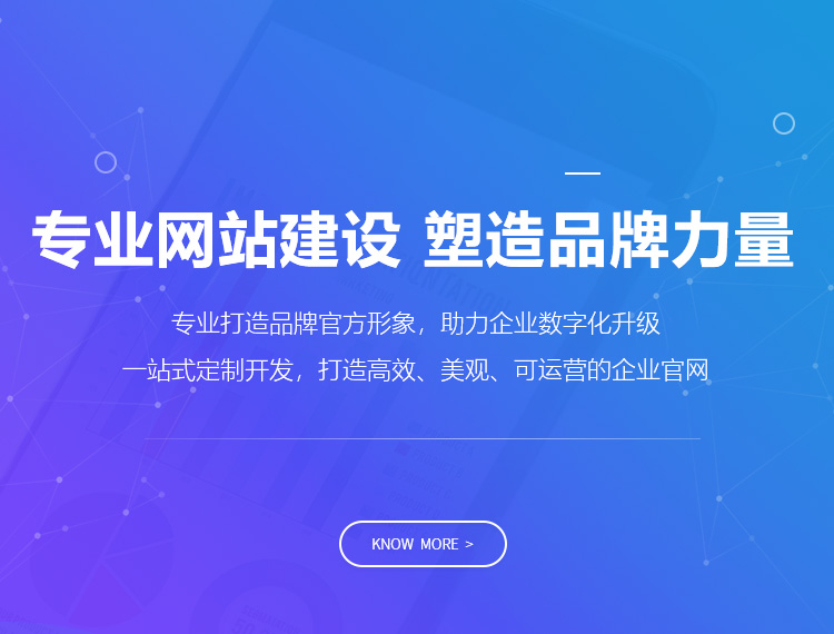 和龙建站-专业网站建设 塑造品牌力量